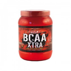 ActivLab BCAA Xtra 500 g.